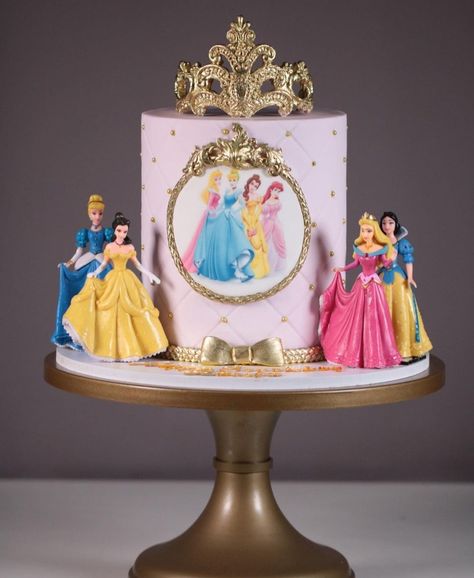 Disney Princess Birthday Cake One Tier, Simple Disney Princess Cake, Disney Princess Birthday Cake Ideas, Disney Princess Theme Cake, Princess Theme Birthday Cake, Disney Princess Cake Ideas, Disney Princess Birthday Party Cake, Disney Princesses Cake, Princes Cake