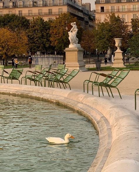 France Vibes, Calm Wallpaper, Romanticized Life, France Aesthetic, Paris Vibes, Jardin Des Tuileries, Fotografi Vintage, Parisian Vibes, Parisian Life