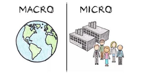 Micro vs Macro Economics -What's the Difference? | Trade Brains Economics Pictures, Microeconomics Study, Micro Economics, Teaching Economics, Ilmu Ekonomi, Economics Lessons, Economic Analysis, Page Decoration, Fundamental Analysis