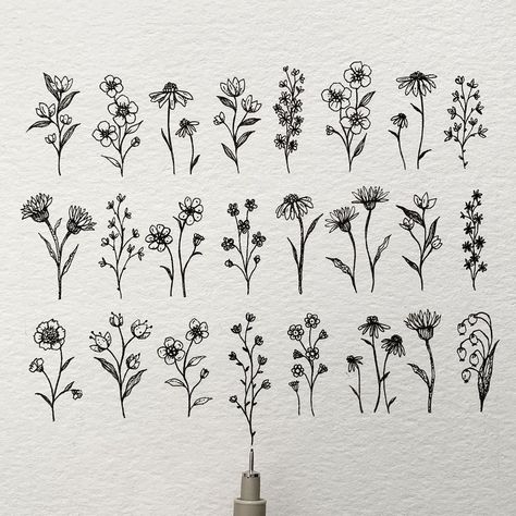 Wildflower Doodles, Trees Art Drawing, Meadow Plants, Painting Lettering, Wildflower Drawing, Astrology Tattoo, Art Place, Botanical Line Drawing, Wildflower Tattoo