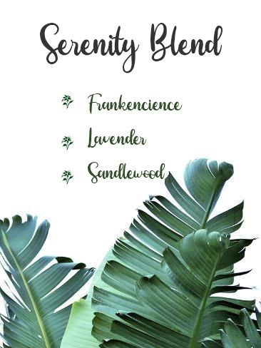 Diffuser Blends With Sandalwood, Sandalwood Diffuser Blend, Sandalwood Essential Oil Blends, Sandlewood Essential Oil, Essential Oil Mixtures, Taurus Season, Homemade Perfume, Thieves Cleaner, Homemade Essential Oils