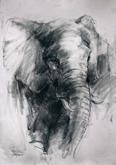 Soft Charcoal Drawings, Watercolor Creatures, Elephant Sketch, Charcoal Artwork, Couple Drawing, Animal Drawings Sketches, Drawing Eyes, Art Charcoal, Elephant Drawing