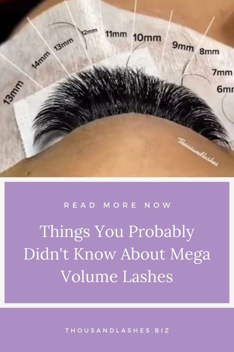 Lashes Mega Volume, Mega Volume Lash Extensions, Mega Volume Lashes, Lash Map, Lash Styles, Lash Extensions Styles, Volume Lash Extensions, Volume Lashes, Dramatic Look