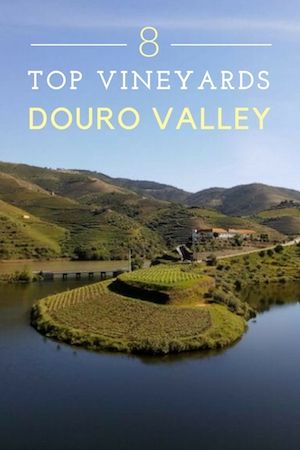 Grape Stomping, Day Trips From Porto, Douro Valley Portugal, Portugal Travel Guide, Grape Harvesting, Wine Pairings, Douro Valley, Visit Portugal, Port Wine