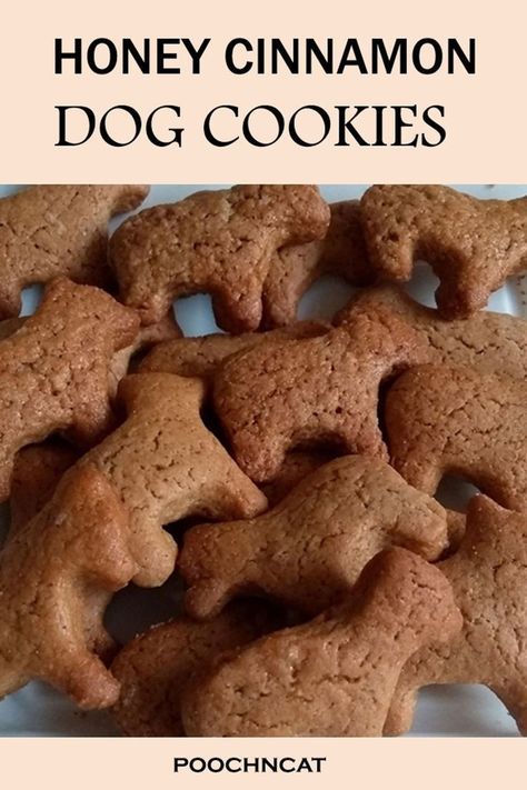 Dog Cookie Recipes, Homemade Pet Treats, Pet Treats Recipes, Dog Treats Homemade Easy, Easy Dog Treat Recipes, Puppy Sketch, Dog Biscuit Recipes, Easy Dog Treats, Healthy Dog Treats Homemade