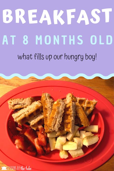 Breakfast 8 Month Old, 8 Month Old Breakfast Ideas Blw, Finger Foods 8 Month Old, Breakfast For Babies 8 Months, 8month Old Breakfast Ideas, Finger Foods For 8 Month Old, Food Ideas For 8 Month Old, Baby Food Breakfast Ideas, 8 Month Old Snacks