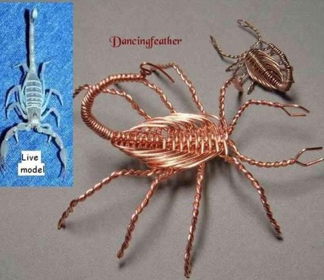 Wire wrapped scorpion free tutorial - really cool! Wire Scorpion, Scorpion Jewelry, Copper Wire Crafts, Free Jewellery Making Tutorials, Copper Wire Art, Wire Tutorials, Wire Jewelery, Wire Wrapping Tutorial, Bijoux Fil Aluminium