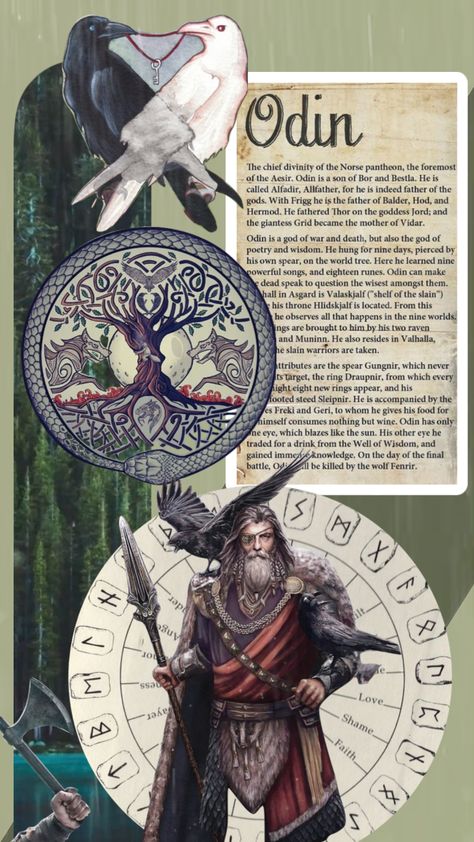 Checkout lifeguidedi's Shuffle #norsemythology #norse #viking #alfadir #allfather #odin #gods #shufflefyp #mythology #mythologyaesthetic #mythological #aestheitc Odin Mythology, Odin Allfather, Odin Norse Mythology, Odin's Ravens, Odin God, Norse Runes, Norse Vikings, Mythology Art, Mythological Creatures