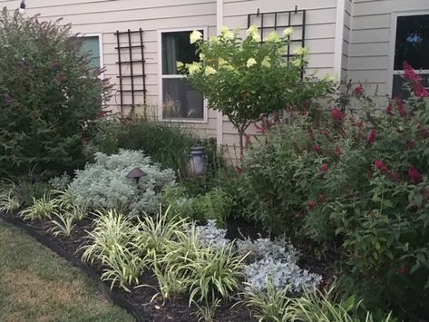 North Carolina Gardening, North Carolina Garden, Evergreen Planters, Small Trees For Garden, Hydrangea Tree, Trees For Front Yard, Fine Gardening Magazine, Front Yard Plants, Backyard Walkway