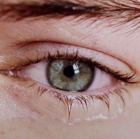 Harry Styles Delicate, Delicate Point Of View, High Quality Pictures, Quality Pictures, Point Of View, Harry Styles, A Photo, On Instagram, Instagram