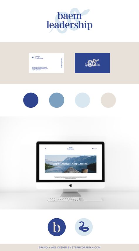 Consulting Logo Design Brand Identity, Blue Web Design Inspiration, Professional Blue Color Palette, Color Palette Sophisticated, Blue And Gold Website Design, Website Blue Design, Medical Branding Color Palette, Blue And Beige Branding, Color Palette For Logo Design