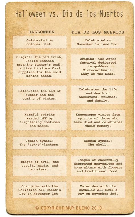 Cultures Intertwined: Halloween VS Día de los Muertos Study Sheet, Spanish Holidays, Compare Contrast, Mexican Traditions, Comparison Chart, Spanish Culture, Spanish 1, Cultural Awareness, Spanish Activities