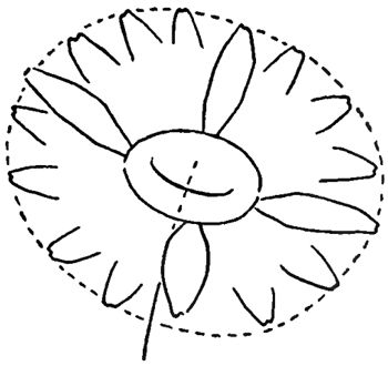 Daisy Painting Acrylic Easy, How To Draw Daisies, Drawing Daisies, Draw A Daisy, Daisy Drawing, Easy Flower Drawings, Draw Step By Step, How To Draw Steps, Flower Drawing Tutorials