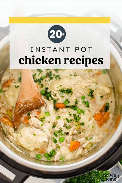 We have meticulously tested hundreds of Instant Pot chicken recipes over the years for our cookbook, From Freezer to Cooker and our website. These are hands-down the best of the best Instant Pot chicken recipes, so you can get a delicious and easy dinner on the table fast. Instant Pot Chicken Recipes, Instant Pot Chicken, Best Of The Best, Instant Pot Recipes, Yummy Dinners, The Table, Pasta Dishes, Instant Pot, Pot Recipes