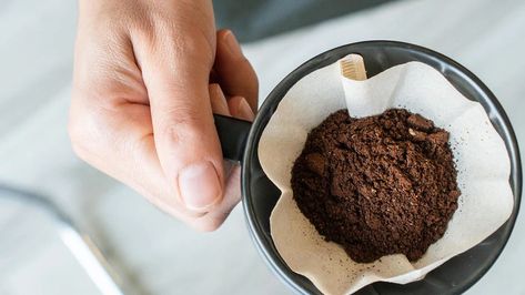 Creative Uses for Coffee Filters | MyRecipes Coffee Grounds For Plants, Backyard Planning, Natural Gardening, Diy Mosquito Repellent, Diy Beauty Treatments, Maintenance Checklist, Uses For Coffee Grounds, Living Healthy, Food Info