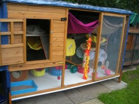 Awesome idea for a outdoor playtime enclosure for a fennec fox! Always supervise a fennec while outdoors at all times, no matter what!!!! Fennec Fox Pet, Ferret Diy, Ferrets Care, Ferret Cage, Spoiled Pets, Rat Toys, Pet Ferret, Puppy House, Pet Enclosure