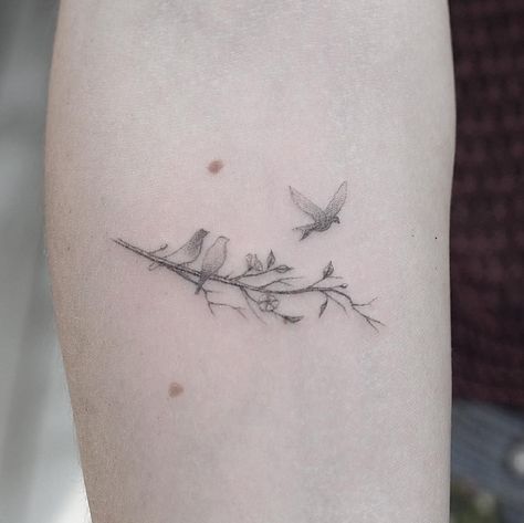 Bird On Branch Tattoo, Bird Branch Tattoo, Tattoo On Foot, Tattoo Sonne, Small Bird Tattoos, Little Bird Tattoos, Tiny Bird Tattoos, Small Sister Tattoos, Bird Tattoos For Women