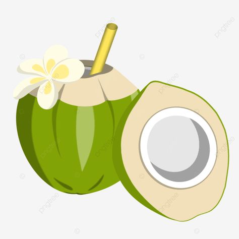 Coconut Water Illustration, Coconut Icon, Coconut Illustration, Tropical Logo, Coconut Summer, Ice Logo, Coconut Juice, Coconut Fruit, Cute Panda Cartoon