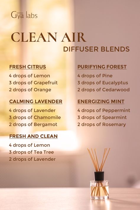 Clean Bedroom Diffuser Blend, Diy Air Diffuser, Essential Oil Air Purifier Diffuser Blends, Guru Nanda Essential Oils Recipes, Purification Diffuser Blend, Clean Smelling Diffuser Blends, Clean Home Diffuser Blend, Clean Diffuser Blends, Air Diffuser Blends