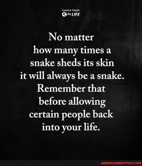 Tap to see the meme Wife Memes, Snake Shedding, Lessons Taught By Life, Emotional Support Dog, Inspirational Funny, Inspirational Humor, Lessons Learned In Life, Secret Quotes, My Philosophy