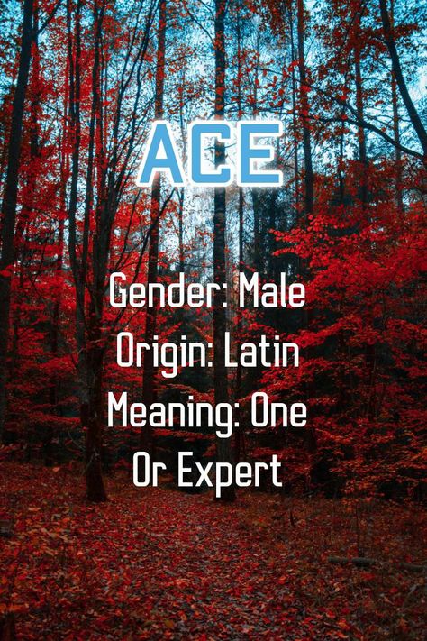 Ace
Gender: Male
Origin: Latin
Meaning: One Or Expert Ace Name Meaning, Ace Name, Ivy Name, Ace Ventura, Middle English, Latin Words, Name Meaning, Playing Card Deck, Jim Carrey