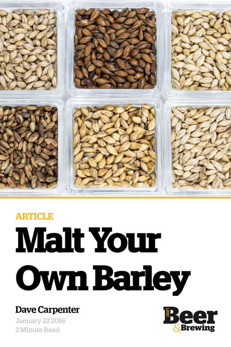 Barley Malt Syrup Recipes, Barley Beer, British Beer, Diy Beer, Sour Beer, Grain Storage, Malted Barley, Beer Recipes, Dehydrator Recipes