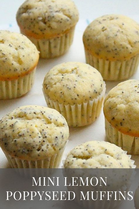 Lemon Poppy Seed Muffins Recipe, Lemon Muffin Recipes, Muffin Pan Recipes, Mini Muffin Recipe, Poppyseed Muffins, Lemon Poppyseed Cake, Poppy Seed Muffins, Lemon Poppyseed Muffins, Muffin Liners