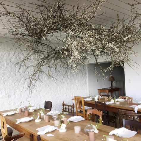 Chandelier Installation, Floral Installation, Grass Wedding, Flower Installation, Wedding Reception Inspiration, Branch Decor, Hanging Flowers, Floral Arch, Ceremony Backdrop