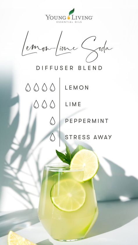 Bold and refreshing, lemon-lime soda has a sparkling citrus taste that hits the spot on a hot summer day! The bright scent of this Lemon-Lime Soda diffuser blend is reminiscent of picnics at the park, hikes in the mountains, and long drives down country roads as you sing along to the radio. Lemon, Lime, Peppermint, and Stress Away star in this diffuser blend. #treat #essentialoils #diffuserblend #aromatherapy #youngliving #yleo Young Living Essential Oil Diffuser, Diffuser Blends Young Living, Young Living Oils Recipes, Living Oils Recipes, Doterra Essential Oils Recipes, Essential Oil Diffuser Blends Recipes, Young Living Essential Oils Recipes, Essential Oils Guide, Essential Oil Diffuser Recipes