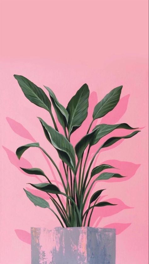 Plant Wallpaper, Iphone Wallpaper Photos, Phone Wallpaper Patterns, Flower Background Wallpaper, Wallpaper Images, Flower Phone Wallpaper, Mural Wall Art, Art Inspiration Painting, Plant Art