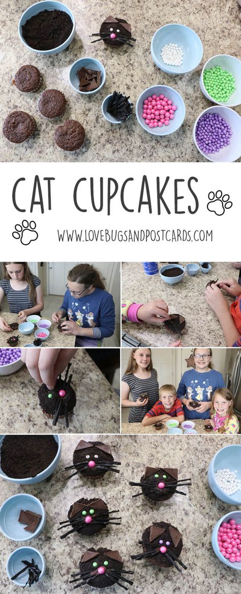 Start summer off with a fun and easy cupcake recipe! This Cat Cupcakes Recipe and Tutorial is the start of our weekly kid's activity series! Check out all the details on Lovebugs and Postcards at https://www.lovebugsandpostcards.com/cat-cupcakes/ via @CoralieSeright Diy Cat Cupcakes, Easy Cat Cupcakes, Cat Desserts, Cat Cupcakes Ideas, Cat Cupcakes, Carrot Cupcakes, Diy Cupcakes, Chocolate Candy Bar, Easy Cupcakes