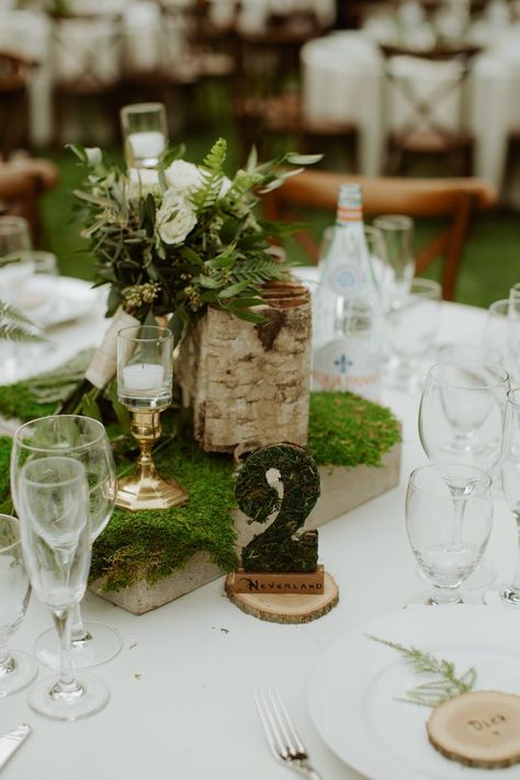 Moss Themed Wedding, Fairy Tail Decorations Party, Fairy Tail Wedding Decoration, Shrek Wedding Aesthetic, Shrek Theme Wedding, Shrek Wedding Theme, Mushroom Wedding Decor, Enchanted Forest Table Decor, Shrek Themed Wedding