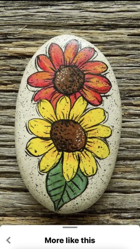 Turtle Painted Rocks, Rock Painting Flowers, Paint Rocks, Diy Rock Art, Stone Art Painting, Painted Rocks Craft, Painted Rocks Diy, Rock Painting Ideas Easy, Turtle Painting