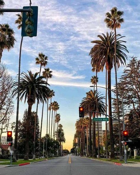 California USA | California, a state in the United States, boasts numerous famous tourist attractions | Facebook Beverly Hills California, Scene Photo, Street Scenes, California Usa, Santa Barbara, Tourist Attraction, Palm Springs, Southern California, Beverly Hills