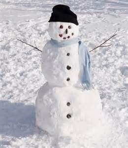 real snowman - Yahoo Image Search Results Snowman Real, Real Snowman, Fun Family Games, Snowman Photos, Disney Movie Night, Snow Fun, Romantic Date Ideas, How To Make Snow, Build A Snowman