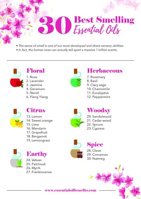 The Ultimate List of 30 Best Smelling Essential Oils! Essential Oil Benefits Best Smelling Essential Oils, Essential Oil Perfumes Recipes, Perfume Versace, Homemade Perfume, Perfume Recipes, Diy Perfume, Essential Oil Diffuser Recipes, Oil Diffuser Recipes, Essential Oil Blends Recipes