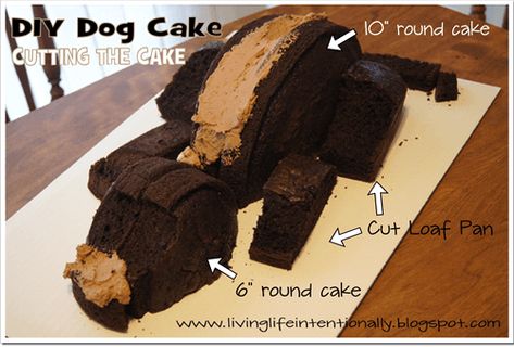 piecing the cakes together Diy Dog Birthday Cake, Diy Dog Birthday, Dachshund Cake, Puppy Dog Cakes, Dogs Cake, Puppy Birthday Cakes, Apple Smoothie, Puppy Cake, Dog Birthday Cake