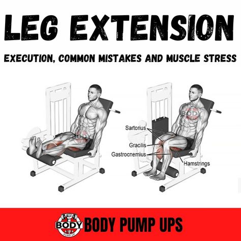 Leg Extension For Bigger Leg Workout
Leg Extension exercises are a great way to build and shape your thigh muscles. This exercise is done on a Leg Extensions machine.

The leg extension should not be your primary quad exercise. There are far better options. Use the leg extension exercises only to warm up your quads, pre-exhaust them before squats, or flush them at the end of a leg workout.
Follow me @bodypumpup 
#legworkout #legpress #legextension #legcurl #gymworkouts
#hacksquats Leg Extensions Workout, Extension Exercises, Bigger Legs Workout, Crossfit Body, Leg Extension, Quad Exercises, Body Pump, Big Legs, Thigh Muscles