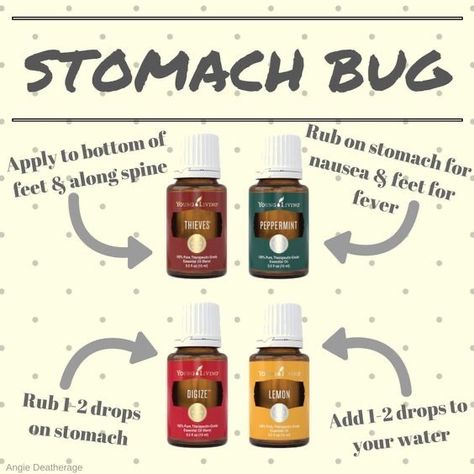 Stomach Bug Remedies, Essential Oils For Nausea, Young Living Oils Recipes, Living Oils Recipes, Stomach Bug, Essential Oils For Colds, Essential Oils For Pain, Doterra Essential Oils Recipes, Essential Oils For Headaches