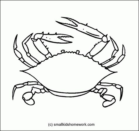 Crab Outline, Bee Outline, Beach Coloring Pages, Twisty Noodle, Easy Animals, Summer Coloring Pages, Outline Drawing, Animal Book, Fish Drawings