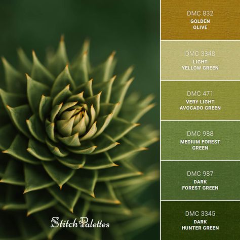 Monkey Puzzle Tree - Embroidery Color Palette (With Thread Codes) Yarn Aesthetic, Graphic Design Activities, Puzzle Tree, Monkey Puzzle Tree, Red Succulents, Monkey Puzzle, Yarn Color Combinations, Green Color Combinations, Green Yarn