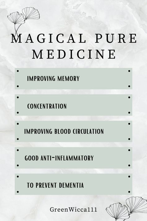 Ginko Biloba: A Natural Health Elixir 🌿 Discover the benefits of this ancient herbal remedy for improved cognitive function, overall well-being, and vitality. Explore the power of Ginko on your wellness journey! #GinkoBiloba #HealthBenefits #Wellness #NaturalRemedies Ginko Biloba Benefits Health, Ginko Biloba Benefits, Ginko Biloba, Turmeric Vitamins, Poor Circulation, Wellness Journey, Improve Memory, Physical Wellness, Holistic Approach