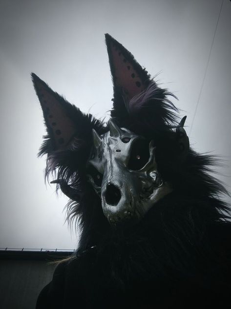 Demon Dog, Dog Skull, Wolf Skull, Scary Dogs, Dog Mask, Wildlife Photographer, Hilarious Photos, Scary Costumes, Skull Mask