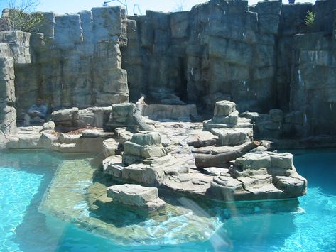 Polar Bear Exhibit, Planet Zoo Exhibit Ideas, Planet Zoo Bear Habitat, Zoo Habitats Design, Polar Bear Enclosure, Planet Zoo Habitat, Planet Zoo Habitat Ideas, Planet Zoo Inspiration, Polar Bear Habitat