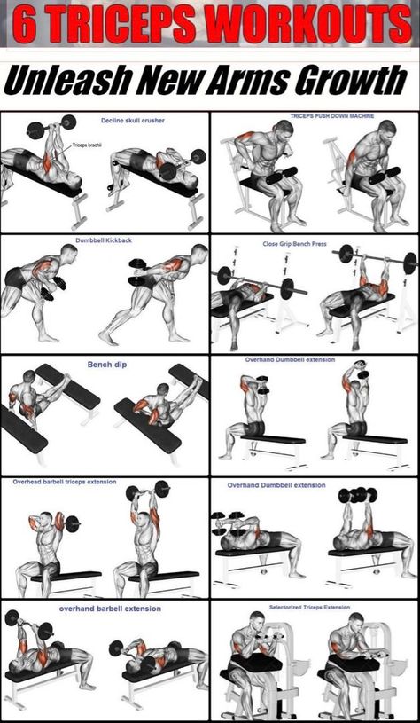 Which of these men exercise is your favoritemenworkout workout fitness armworkoutwithweights fitnessmotivation Tricep Workout Gym, Big Biceps Workout, Bicep And Tricep Workout, Tricep Workout, Workout Gym Routine, Latihan Dada, Workout Program Gym, Trening Sztuk Walki, Bodybuilding Workouts Routines