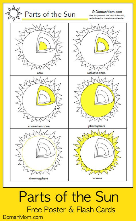 Parts of the Sun Printable Poster & Flash Cards (Free) Parts Of The Sun, Outline Essay, Solar System Unit Study, Sun Cycle, Homeschool Astronomy, Toddler Science, Cc Foundations, Solar System Unit, Sun Activity