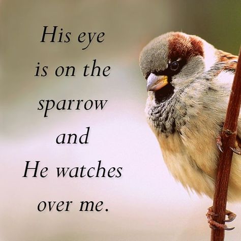 Watch Over Me, Thank You Lord, Jesus Loves Me, Spiritual Inspiration, Christian Inspiration, Scripture Verses, Jesus Loves, New People, God Is Good