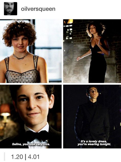 Selena And Bruce, Gotham Funny, Gotham Bruce And Selina, Gotham Bruce, David Mazouz, Bruce And Selina, Gotham Tv Series, Gotham Series, Gotham Tv