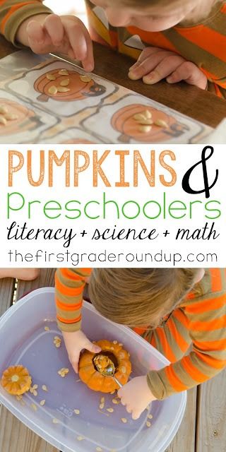 preschool pumpkin activities for halloween math & science investigations - The First Grade Roundup Preschool Pumpkin Activities, Activities For Halloween, Preschool Pumpkin, Pumpkin Investigation, Pumpkin Lessons, Pumpkins Preschool, Pumpkin Science, Halloween Teaching, Pumpkin Unit