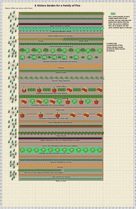 Taken from the guidelines given in a document by the State of Illonois during world war 2 this is a modern interpretation of that victory garden planned with the Garden Planner from growveg.com Victory Garden Plans, Victory Gardens, Creative Technology, Backyard Garden Layout, Garden Layout Vegetable, Vegetable Garden Planning, Garden Plan, Victory Garden, Garden Planner